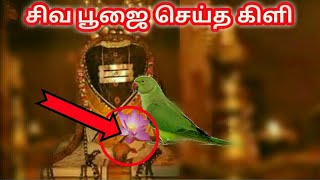 sugavaneswarar temple | சிவ பூஜை செய்த கிளி | sithargal |  சித்தர்கள்