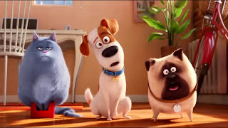 The Secret Life of Pets Best memorable moments | Funny Cartoons for kids