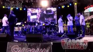 Los Bravos de la Fania en el Salsa Festival 50 Th Aniversario en Ponce PR