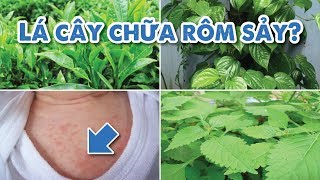 Những lưu ý khi dùng lá tắm trị rôm sảy cho bé