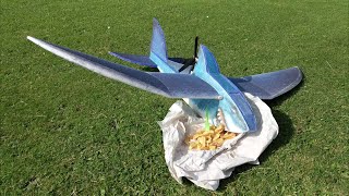 Shark Bite