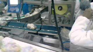 Mercury V belt arm apl куры в пакете весовой этикетировщик Турция