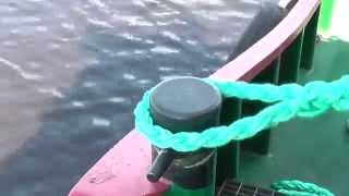 Плетение восмипрядного огона