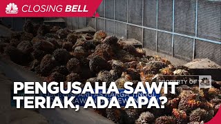Solar Subsidi & Non Subsidi Beda Rp 7.800, Pengusaha Sawit Teriak!