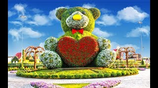 Как добраться в парк цветов Дубай. Dubai Miracle Garden 2018. Сад чудес в Дубай.Dubai Miracle Garden