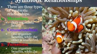 Interactions Among Organisms -- TeachPower.net Lesson