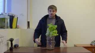 Гидропоника из подручных материалов. Все просто ! hydroponics