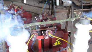 Holz Kurzschluss an 20kV tree touches power line short circuit