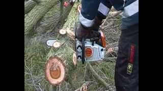 stihl 192 t