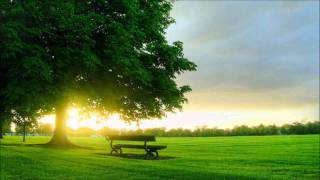 A/B Project - Eternal Optimism (Kuffdam & Plant Remix)