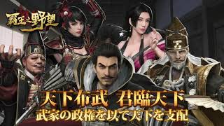 霸王之野望