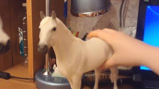 ВЗРОСЛЫЙ РЕБЁНОК ИГРАЕТ В ЛОШАДЕЙ?ЛОШАДИ ПРИКОЛЫ.ПРИКОЛЫ С ЖИВОТНЫМИ.ПЕРВЫЕ КАДРЫ BREYER?СМЕШНО!