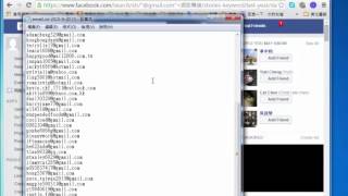 Facebook Email精準名單採集器