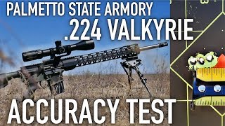 Palmetto State Armory 20" SS .224 Valkyrie Accuracy Test