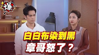 《多情大爆爆》多情城市 EP280 白白布染到黑 章哥怒了？