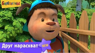 Барбоскины | Друг нарасхват ? Новая серия | 208 | Премьера!