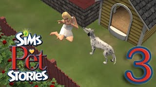 [THE SIMS PET STORIES: ВЫСТАВКА СОБАК] Дрессировка (3 серия)
