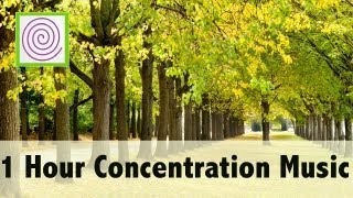 1 HOUR OF CONCENTRATION MUSIC Extra long video for long periods of focus, studying.