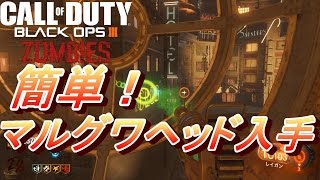 BO3 ゾンビ 簡単マルグワヘッド入手法