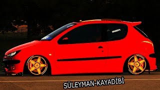 LFS Peugeot 206GTI AG YAPIM+ LİNK 2017
