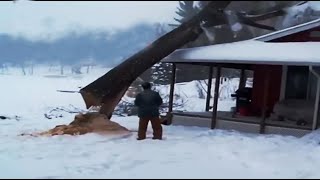 Придурки с бензопилами 80 лвл.