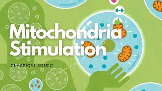 Powerful Mitochondria Regeneration - Classical Music