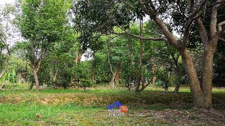 新竹縣橫山田寮優美平坦地【可分售】(A)403坪售價:726萬、(B)685坪售價:1238萬