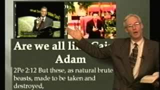 What Does The Bible Say: Regeneration & Nature