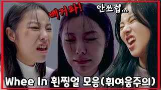 [마마무 휘인] 배고픈 휜찡얼 모음 *휘여움 주의*