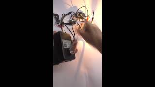 Ручной электрогенератор 30W 0-28V Когда нет света Hand Dynamo Generator #Shorts
