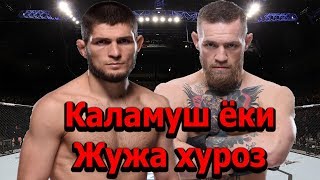 Хабиб жамоаси Конорни уриб ташламокчи эди / Конор ва Хабиб жанги олдидан