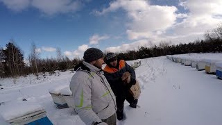 Пришла настоящая зима -29. Зимний осмотр пчел 25 02 2018.  Пчелы зимой. Зимовка пчел на улице