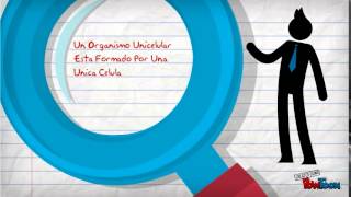 organismos unicelulares