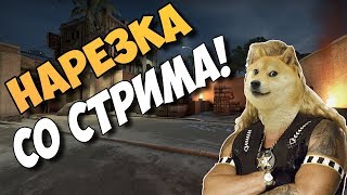 ЛУЧШИЙ МОМЕНТ СО СТРИМА НЕЖДАНЧИК