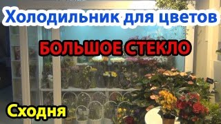 Монтаж холодильной камеры для цветов в г. Сходня (Московская обл)