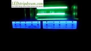 dream color led strip bars
