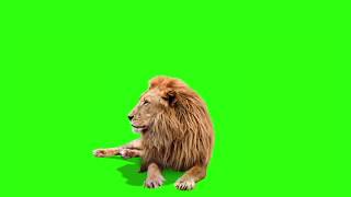 Line |Green Screen
