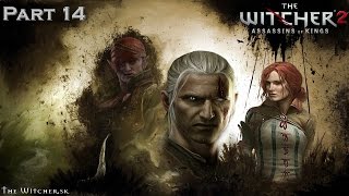 Witcher 2 Assassins of Kings Часть 14 Кошмар Балтимора