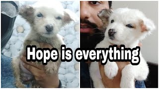 Saving soul episode 1 (hope is everything)