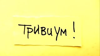 Видеошкола Сергея Табачникова ''Тривиум''