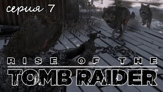 Rise of the Tomb Raider: серия 7 - нападение волков
