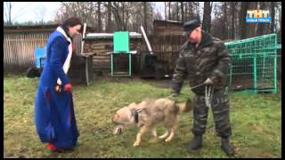 Подборка "ляпов"