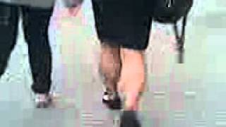 asian  street calves