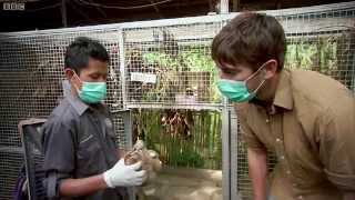 Shocking Undercover Scenes: Illegal Animal Trade - Indian Ocean With Simon Reeve - BBC