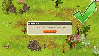 [DOFUS 1.29] J'UP ENFIN BÛCHERON LEVEL 100 !!