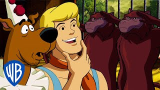 Scooby-Doo! en Latino | Dejen de Perder el Tiempo | WB Kids