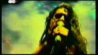 fiesta pagana-mago de oz
