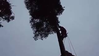 Подъем в гаффах.