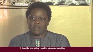 Uganda Anti-gay Bill: Activists Speak Out