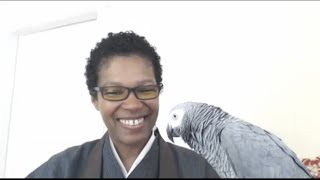 Radical Dharma: Rev. angel Kyodo Williams talks race, love & liberation